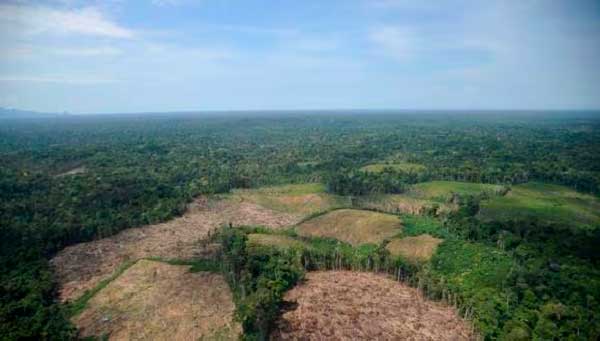 Desforestación Amazonía