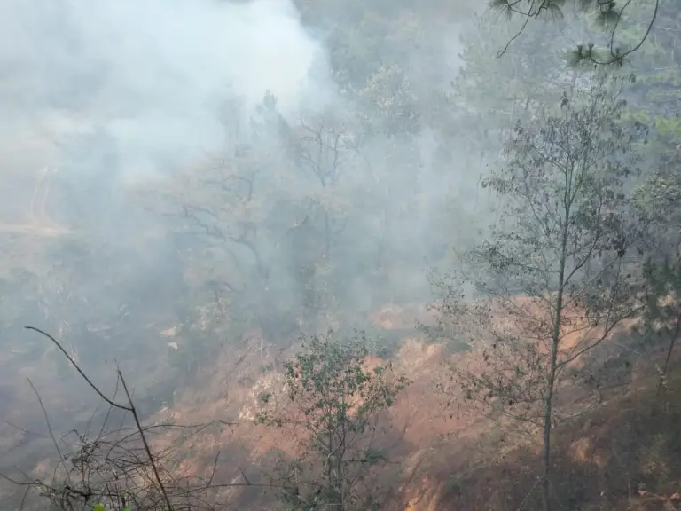 Incendios forestales