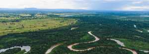 La pérdida de bosques tropicales cae drásticamente en Brasil y Colombia, pero persisten tasas elevadas en general