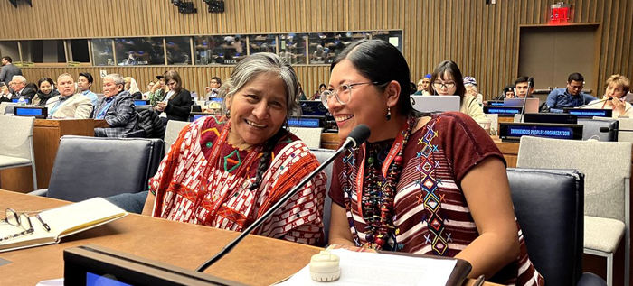 Mujeres indígenas luchan ante la discriminación