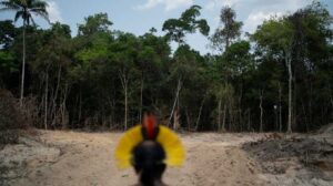 Foto: territorios indígenas de Kayopó, Munduruku y Yanomami