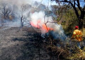 Incendios forestales