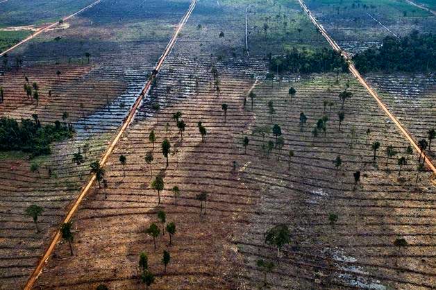 Foto: desforestación Guatemala