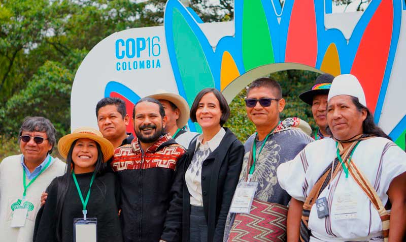 Conferencia de las Naciones Unidas sobre Biodiversidad (COP16)