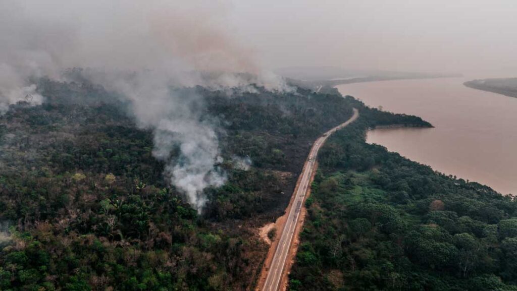 Amazonas