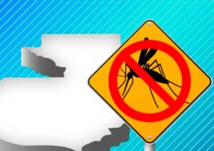 Dengue