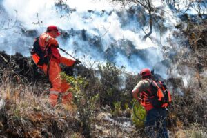 Incendios