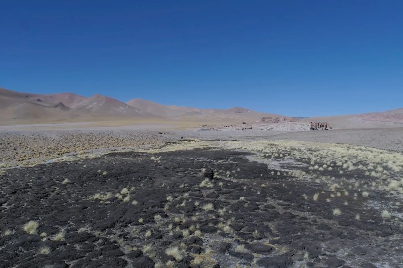 Vega seca del río Trapiche, con manchas oscuras de vegetación muerta visibles. El río solía alimentar los pastizales circundantes, y en la zona podían verse vicuñas, pumas, gatos andinos y flamencos (Imagen: María Paula Gaido / Ruido)