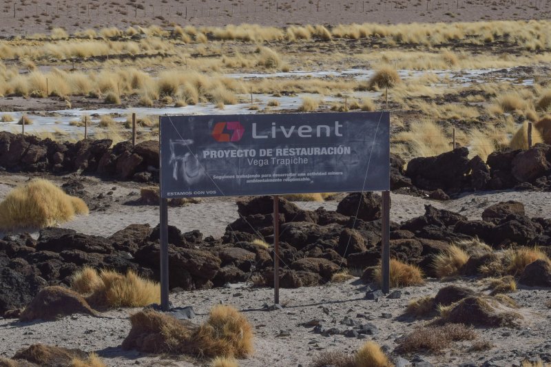 Señalización de un proyecto de restauración de vegetación cerca del río Trapiche dirigido por Livent, ahora conocida como Arcadium. La empresa afirma que están llevando a cabo tareas medioambientales como la replantación de árboles, la mejora de los sistemas de riego y el seguimiento y control de las especies de la zona (Imagen: María Paula Gaido / Ruido)