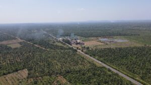 Colombia, comunidades negras y campesinas de Montes de María denuncian a un líder del conglomerado de aceite de palma