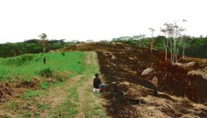 Entre 1990 y 2020, el mundo perdió 420 millones de hectáreas de bosques, una superficie mayor que toda la UE, siendo la agricultura la principal responsable. En la foto, deforestación en Iquitos, en la Amazonía peruana. Crédito de la imagen: LLs/Wikimedia Commons, bajo licencia Creative Commons (CC BY-SA 4.0)