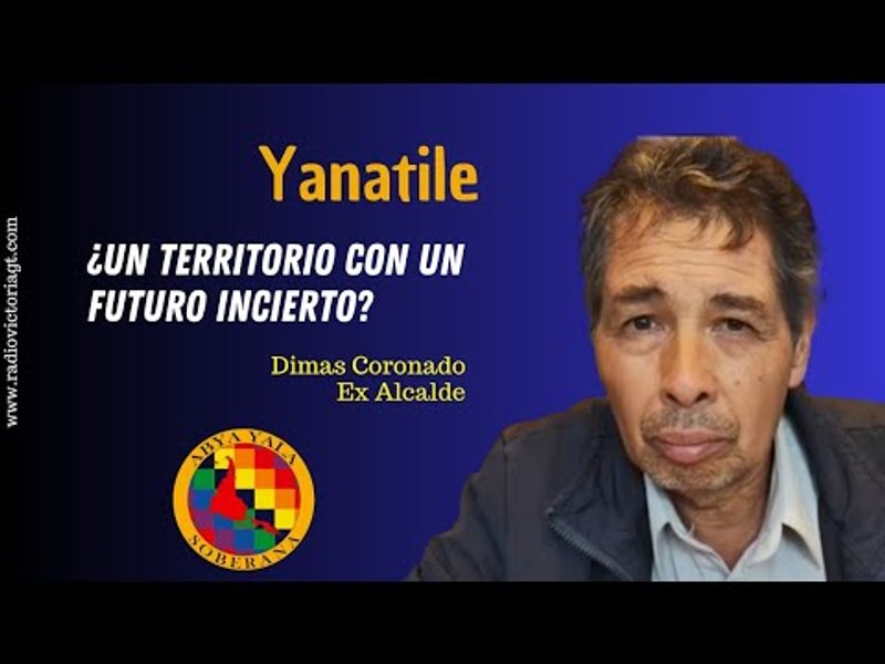 Yanatile: cuando la coca y el café retroceden, el empobrecimiento avanza