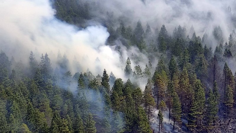 Incendio en el Parque Nacional Cajas, en Cuenca, Ecuador, 16 de noviembre de 2024 Imago / Apifoto / www.globallookpress.com