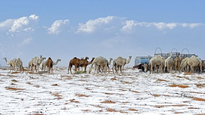 Los meteorólogos sauditas afirman que la causa de la nieve en la región, habitualmente cálida y árida, fue una baja presión en el mar Arábigo.