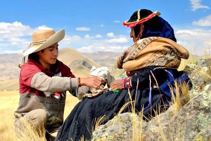 Atoqcha (Raúl Challa) se encuentra con la abuela en el pajonal