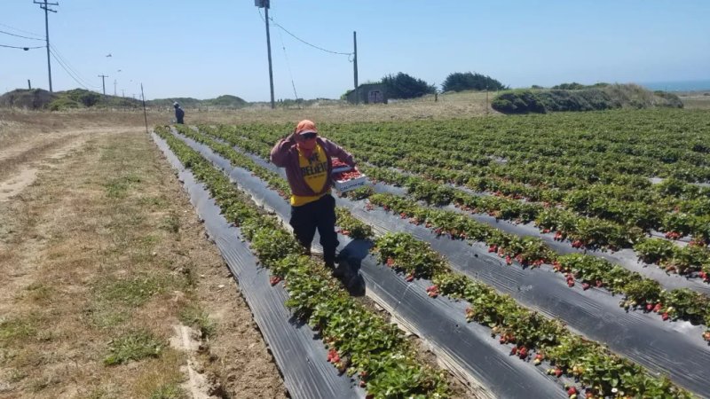 Foto La Hora/unitedfarmworkers