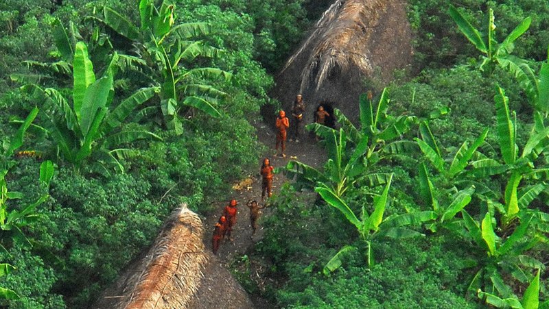 Vista área del pueblo Kawahiva, en Mato Grosso. Gleilson Miranda / Governo do Acre