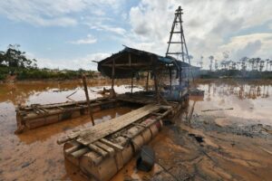 En los últimos años la minería ilegal acabó con 30 mil 800 hectáreas de bosques en la Amazonía.