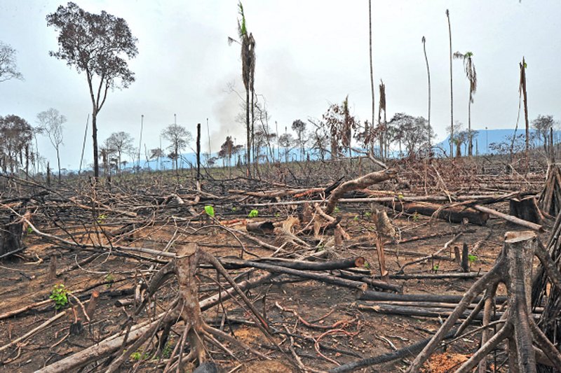 Deforestación en el parque nacional Sierra de la Macarena, Colombia. Foto: Jorge Luis Contreras.