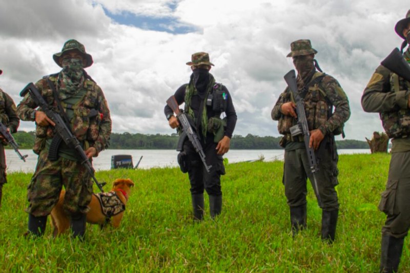 El grupo armado ilegal Comandos de la Frontera apareció en el recorrido de los reporteros de La Silla Vacía y Mongabay Latam que visitaron la zona del Parque La Paya. Crédito: Santiago Rodríguez.