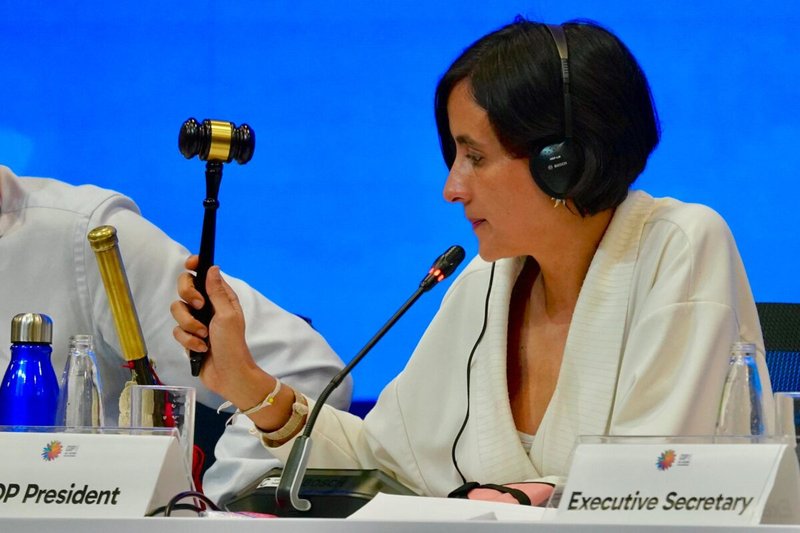 Momento en que se suspende la COP16 el sábado 2 de noviembre de 2024 en Cali, Colombia. Foto: UN Biodiversity.