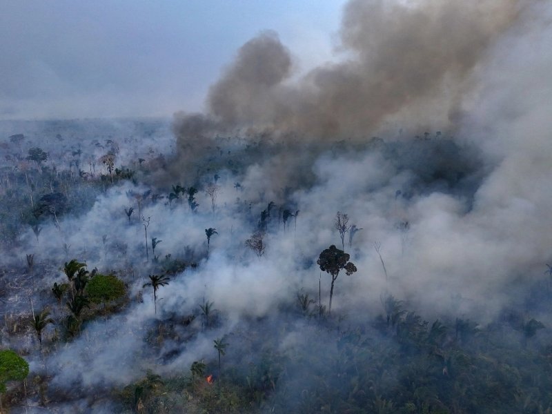 Vista aérea de un área de la selva amazónica deforestada por incendios ilegales en el municipio de Labrea, estado de Amazonas, Brasil, tomada el 04 de septiembre de 2024. Foto Afp