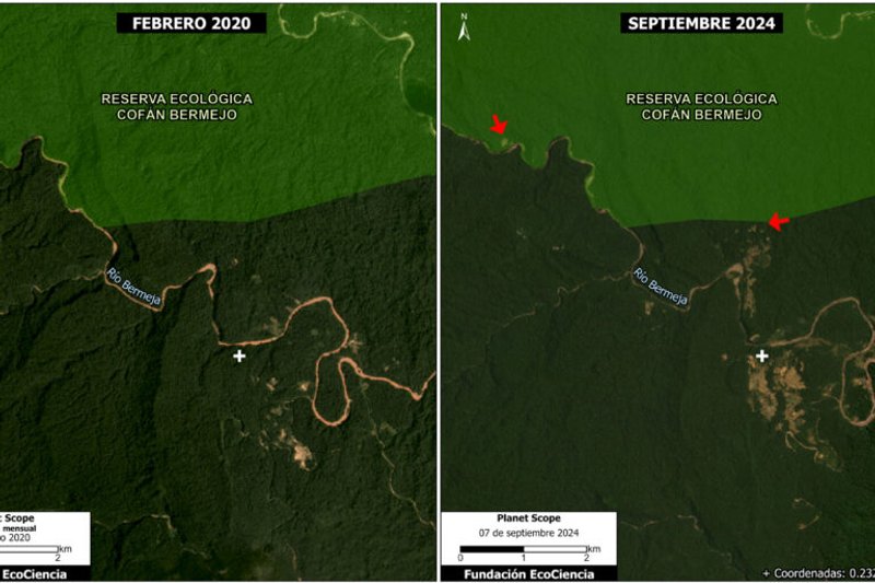 Deforestación minera en la Reserva Ecológica Cofán Bermejo. Imagen: Fundación Ecociencia.