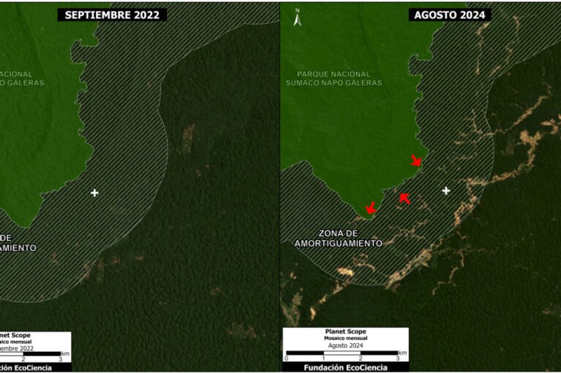 Deforestación minera en el Parque Nacional Sumaco Napo-Galeras. Imagen: Fundación Ecociencia