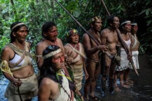 Los tagaeri y taromenane forman parte del pueblo Waorani, pero, a diferencia de sus parientes, en la década de los años 60 decidieron vivir aislados cuando los otros grupos de waorani entraron en contacto forzado con los misioneros evangélicos. Foto: Amazon Frontlines