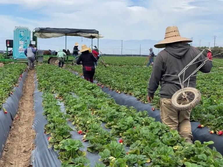 Esto gasta un guatemalteco para migrar a EE.UU. y el tiempo que tarda en recuperar su inversión. Foto La Hora/Archivo