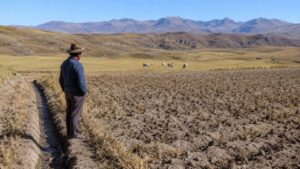 El Niño afectará el agro y la seguridad alimentaria