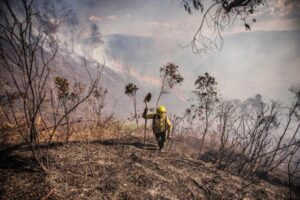 El Niño intensifica incendios forestales en Colombia