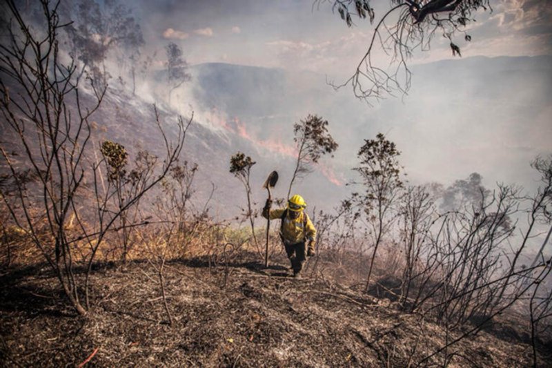 Imagen principal: el incremento de las temperaturas y la baja precipitación asociadas a El Niño ya se han reflejado en fuertes incendios en Colombia. Foto: cortesía Alcaldía de Medellín.