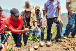 Diversos proyectos climáticos buscan el diálogo entre el saber tradicional y el conocimiento científico. Foto: cortesía Daniela Arce/CIAT.