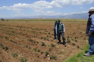 El Niño tendrá fuerte impacto en la agricultura