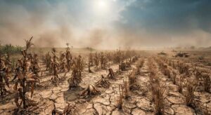 Cada fracción de grado costará vidas, pero el aumento de temperaturas puede revertirse con políticas urgentes