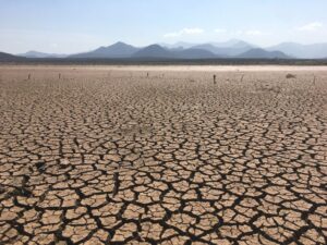 Las agencias de la ONU piden ayuda para proteger a los más vulnerables de un El Niño sin precedentes