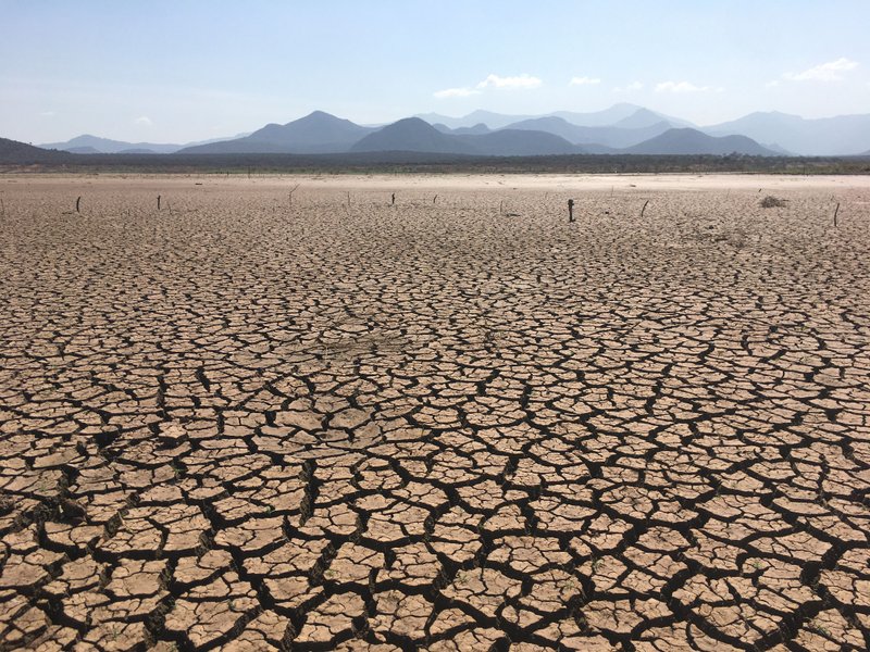 Foto de Kiptoo Addi: https://www.pexels.com/es-es/foto/desierto-seco-secar-suelo-14924252/