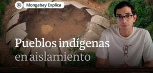Pueblos en aislamiento: ¿qué son, dónde están?
