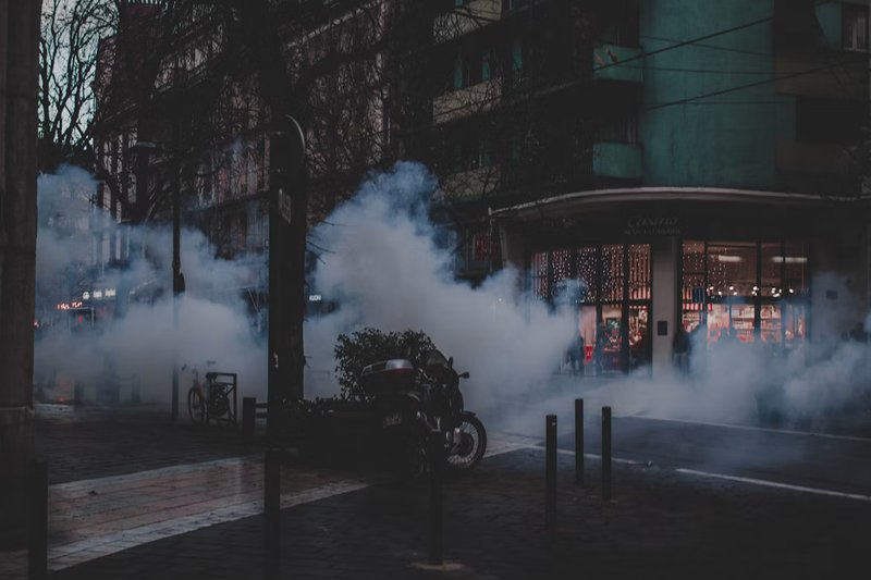 Foto de Florian Olivo en Unsplash