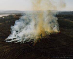El calor extremo habría causado más de 50.000 muertes en Europa en verano de 2026