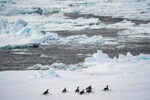 El océano absorbió en 2025 un calor equivalente a 40 veces la energía que consume toda la humanidad