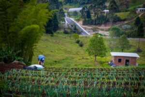 El Niño amenaza con menos comida y más cara