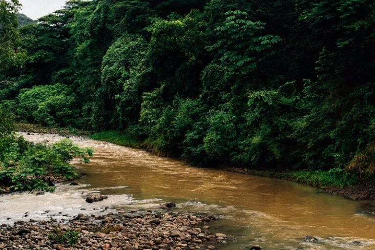 Foto de Edu Raw: https://www.pexels.com/es-es/foto/paisaje-exuberante-de-rio-con-vegetacion-vibrante-34933974/