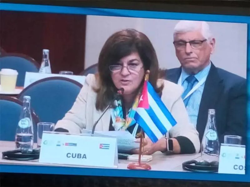 La viceministra Deborah Rivas Saavedra enfatizó que los desafíos estructurales que enfrenta la región, marcados por desigualdades persistentes y limitaciones de acceso a financiamiento, se agravan drásticamente en el caso cubano debido al recrudecimiento de las medidas coercitivas unilaterales de EE.UU. Foto: Cubadebate.