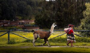 12 de octubre: autonomías indígenas y crisis de la modernidad colonial