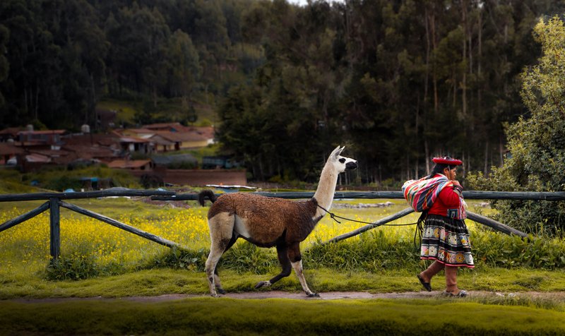 Foto de Daniel Rojas Luzquiños: https://www.pexels.com/es-es/foto/mujer-caminando-animal-campo-19478649/