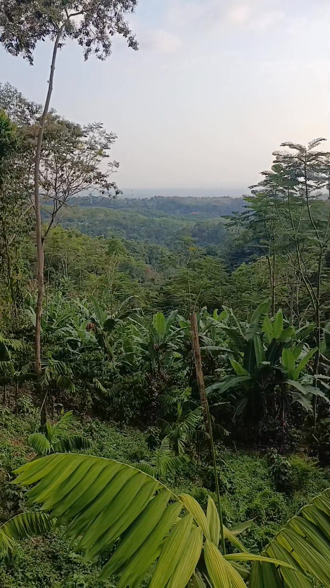 Radio Victoria, la voz de los pueblos