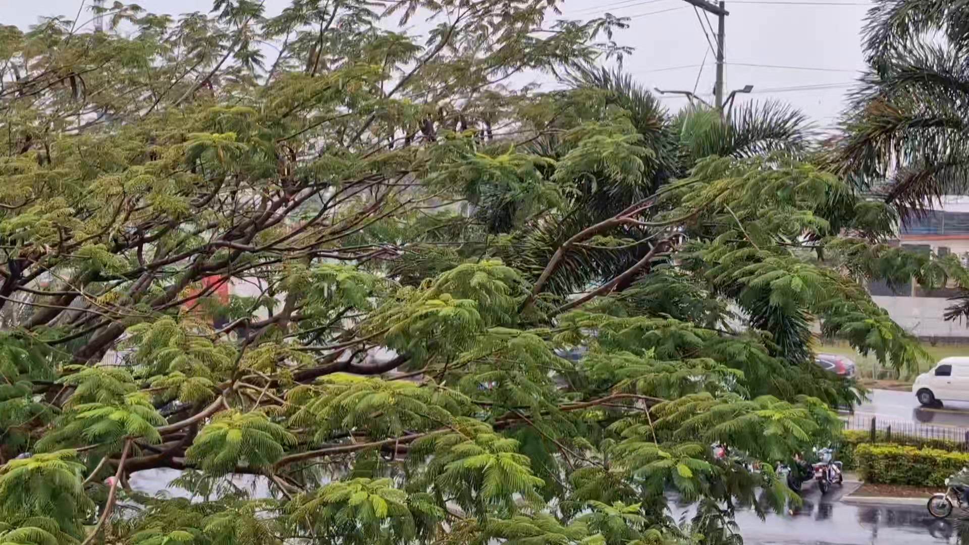 Radio Victoria, la voz de los pueblos