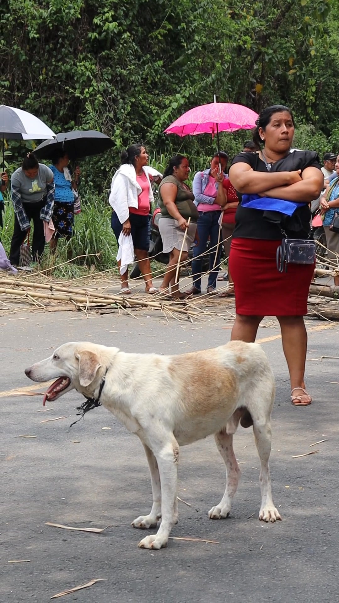 Radio Victoria, la voz de los pueblos